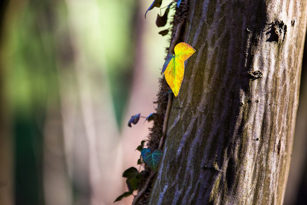 Webseite-Naafbachtal-2-von-11.jpg