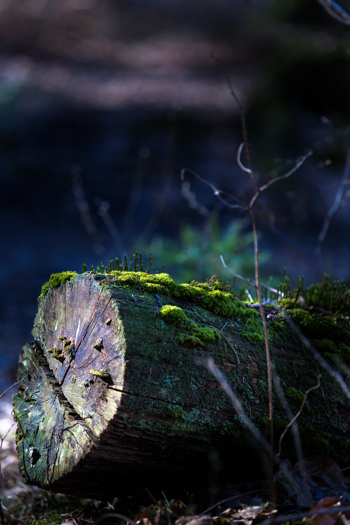 Webseite-Naafbachtal-3-von-11.jpg
