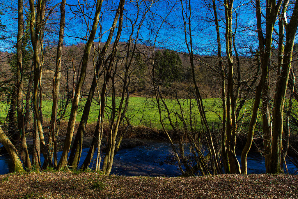 Webseite-Naafbachtal-4-von-11.jpg
