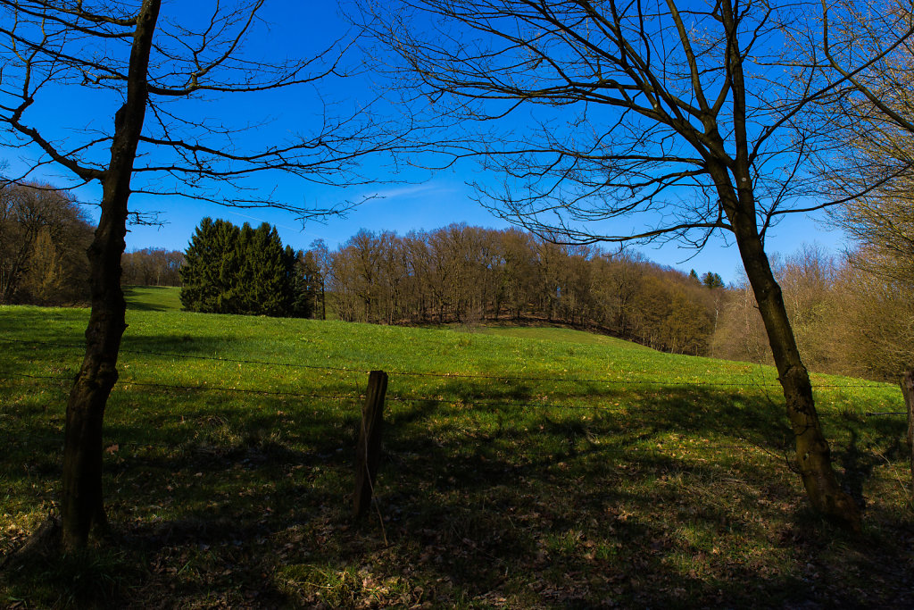 Webseite-Naafbachtal-5-von-11.jpg