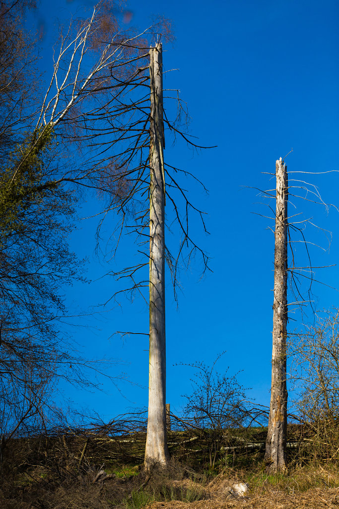 Webseite-Naafbachtal-7-von-11.jpg