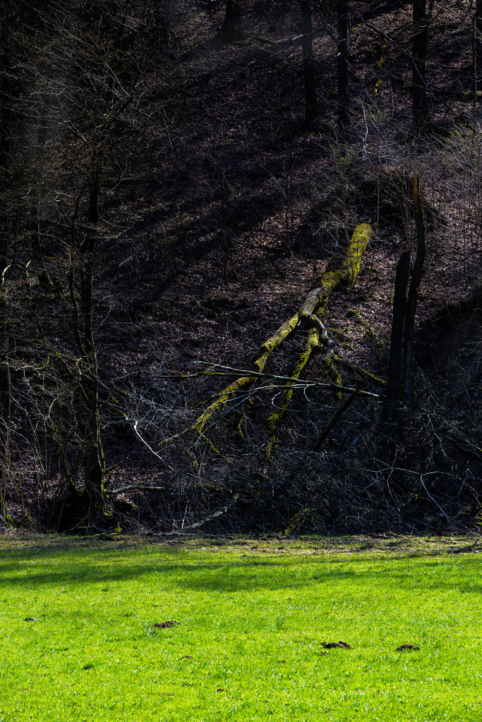 Webseite-Naafbachtal-8-von-11.jpg